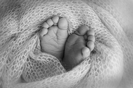 The tiny foot of a newborn baby. Close up of toes, heels and feet of a newborn.の写真素材