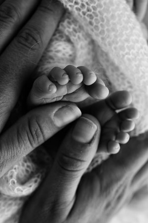 Mother is doing massage on her baby foot. Closeup baby feet in mother hands. Prevention of flat feet, development, muscle tone, dysplasia. Family, love, care, and health concepts. Black and white.の写真素材