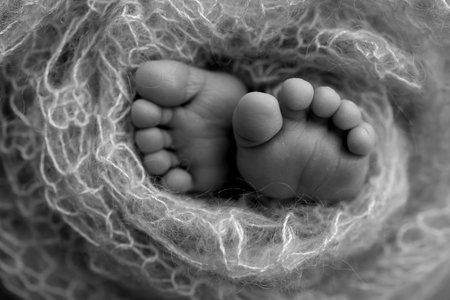 Close up feet, toes, heels, feet of a newborn baby. Studio monochrome, vintage style, black and white macro photography. Foot of a newborn.の写真素材