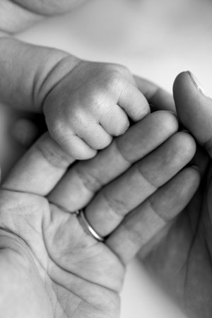 Close-up little hand of child and palm of mother and father. The newborn baby has a firm grip on the parents finger after birth. A newborn holds on to moms, dads finger. Black and white photo.の写真素材