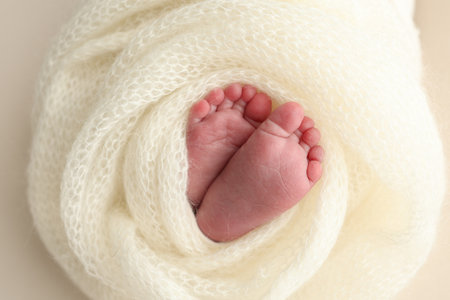 Soft feet of a newborn in a white woolen blanket. Close up of toes, heels and feet of a newborn babyの写真素材