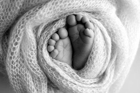 Close up feet, toes, heels, feet of a newborn baby. Studio monochrome, vintage style, black and white macro photography. Foot of a newborn.の写真素材