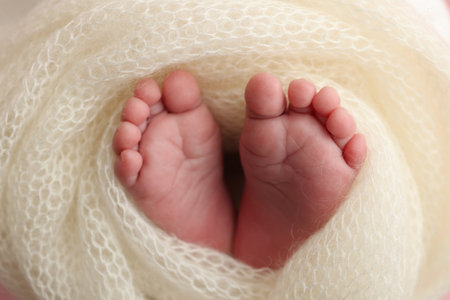 Soft feet of a newborn in a white woolen blanket. Close up of toes, heels and feet of a newborn babyの写真素材