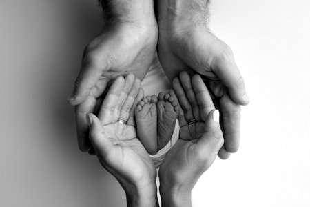 A father and mother hold the feet of a newborn child in a blanket. The feet of a newborn in the hands of parents. Black and white Photo of foot, heels and toes. The palms of the parents.の写真素材
