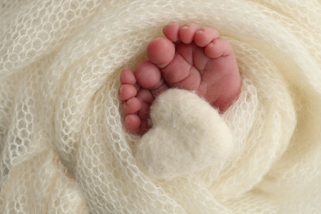 Soft feet of a new born in a white wool blanket. Close up of toes, heels and feet of a newborn. Knitted white heart in the legs of a baby. Macro photography.The tiny foot of a newborn babyの写真素材