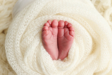 Soft feet of a newborn in a white woolen blanket. Close up of toes, heels and feet of a newborn babyの写真素材