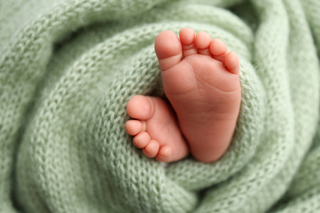 Soft feet of a newborn in a olive green blanket. Close up of toes, heels and feet of a newborn baby.の写真素材