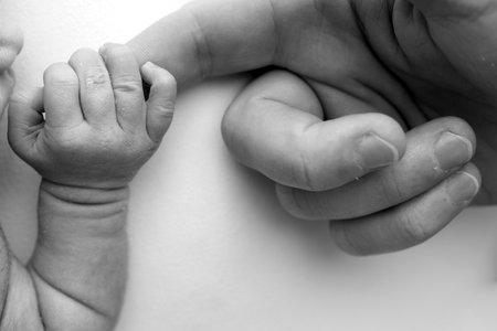 Close-up little hand of child and palm of mother and father. The newborn baby has a firm grip on the parents finger after birth. A newborn holds on to moms, dads finger. Black and white photo.の写真素材