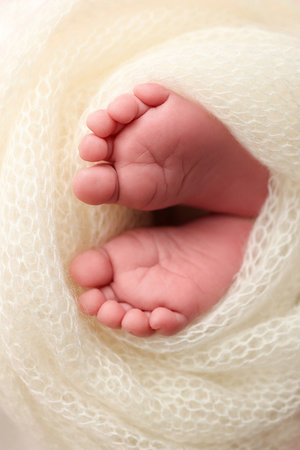 Soft feet of a newborn in a white woolen blanket. Close up of toes, heels and feet of a newborn babyの写真素材