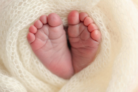 Soft feet of a newborn in a white woolen blanket. Close up of toes, heels and feet of a newborn babyの写真素材