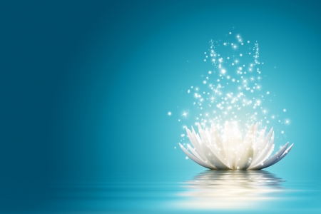 Magic Lotus flower Magic Lotus flower