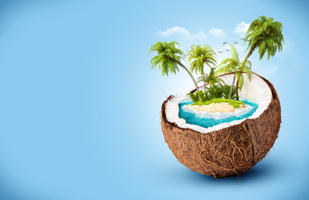 tropical island in coconut. Travelling, vacationの写真素材
