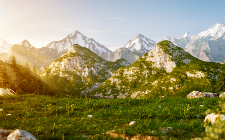Amazing mountain landscape with fog. Unusual 3d illustration of grass field in mountain in summer day.の写真素材