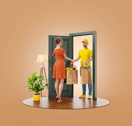 Unusual 3d illustration of a Young woman receiving bags with fresh food from courier at the door. Food delivery service. Online grocery shopping and delivery.の写真素材