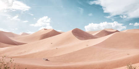 3d Illustration of an Empty Desert at Sunny Day. Minimal Mockup. Commercial Advertizing Concept. Unusual Design Concept.の写真素材