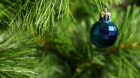 Panorama blue fur-tree toy on a green Christmas treeの写真素材