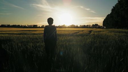 Woman standing at field with young wheat at sunset. Rear back view female looking on the evening sky with breathtaking sundown. Unit with nature in summer season.の写真素材