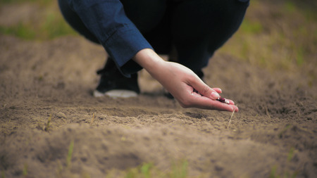 Closeup details gardening. Close up woman pouring seeds into the ground.の写真素材