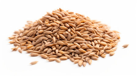 A small pile of spelled grains showcased in a close-up realistic photo against a white background Generative AIの素材