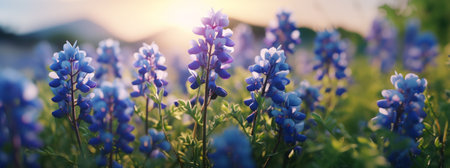 Close-up view capturing the delicate beauty of blooming bluebonnets in a field of spring wildflowers. Generative AIの素材