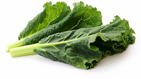 Close-up realistic photo showcasing three vibrant green kale leaves on a white background Generative AIの素材