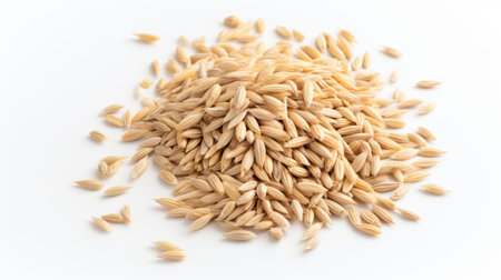 Close-up realistic photo featuring a small pile of oat grains on a white background Generative AIの素材