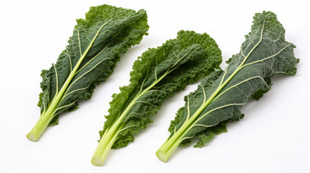 Three vibrant green kale leaves captured in a close-up realistic photo against a white background Generative AIの素材