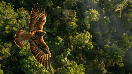 A Madagascar Harrier Hawk is soaring gracefully above a dense and vibrant green forest. The birds wings are outstretched as it navigates through the lush canopy of the trees.の素材