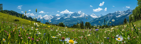 A field of vibrant wildflowers and daisies stretches into the distance, framed by majestic mountains in the background. The colorful array of flowers adds a vibrant touch to the landscape under the clear blue sky.の素材