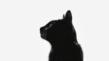 A black cat with its head tilted to the side. The cat is looking at the camera. The image has a moody and mysterious feel to itの素材