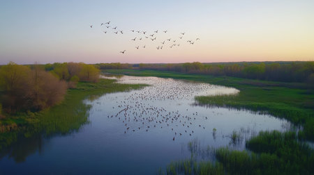 Migrating birds fill the sky above tranquil wetlands during sunset, creating a stunning silhouette against the vibrant colors of dusk. Nature's beauty is on full display as flocks soar gracefully.の素材