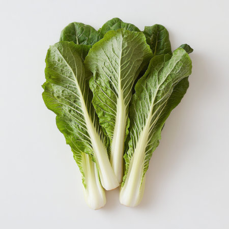 Freshly harvested green heads of lettuce sit on a clean surface, displaying their crisp texture and vibrant color, perfect for salads and healthy meals in a casual kitchen environment.の素材