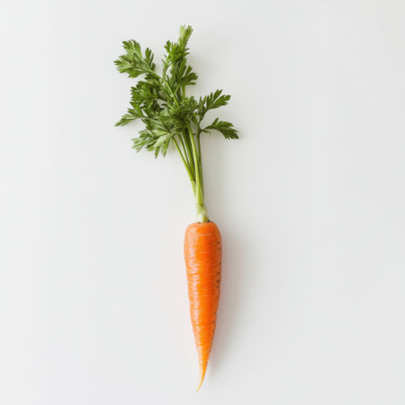 A single fresh carrot sits upright with its vibrant orange skin glistening. The crisp green leaves extend from the top, adding a touch of freshness to the display.の素材