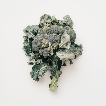 A fresh head of broccoli features tight green florets and sturdy stalks, surrounded by lush, dark leaves, highlighting its nutritious appeal and fresh quality.の素材