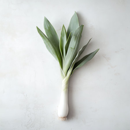 A single fresh leek features a vibrant green top and a crisp white stalk, ideal for cooking. Its appearance suggests freshness and quality, perfect for enhancing dishes.の素材