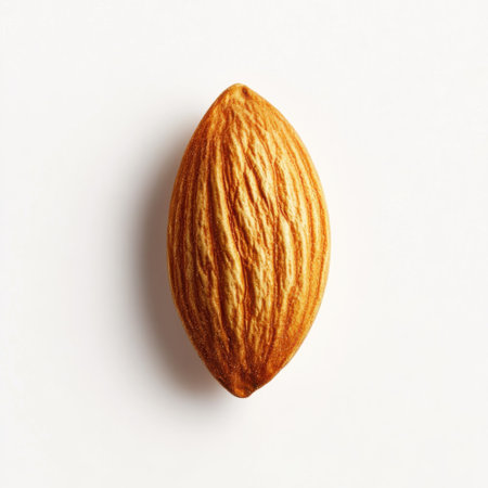 A roasted almond showcases its lightly golden color and smooth texture, resting on a pristine white background. This nut symbolizes healthy snacking and natural flavor in its simplest form.の素材
