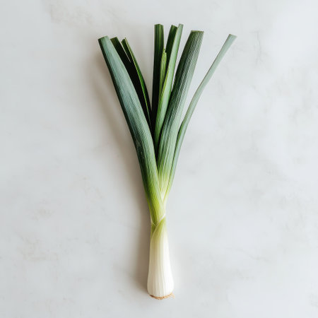 A single fresh leek showcases a crisp white stalk and vibrant green leaves, perfectly positioned against a clean white surface, emphasizing its freshness and quality.の素材