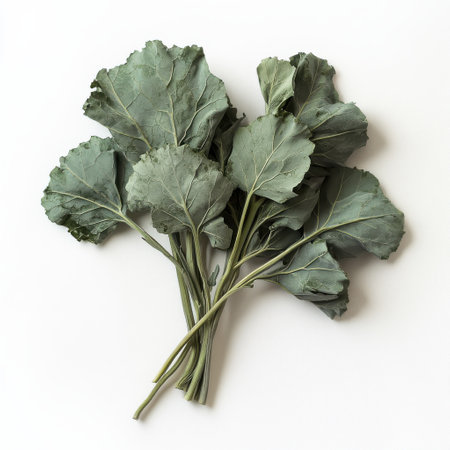 Bright green kale leaves are arranged neatly in a bunch, showing off their vibrant color and texture. Ideal for healthy meal preparations or as a decorative element in a kitchen.の素材