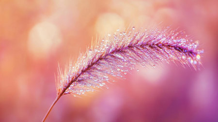 Close focus captures a single blade of grass glistening with dewdrops, set against a soft, colorful backdrop of blurred tones that evoke a serene, ethereal atmosphere.の素材