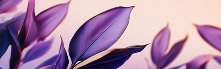 This close-up features vibrant purple leaves, showing their delicate structure and colors. The soft lighting highlights the beauty of the leaves, creating a serene atmosphere.の素材