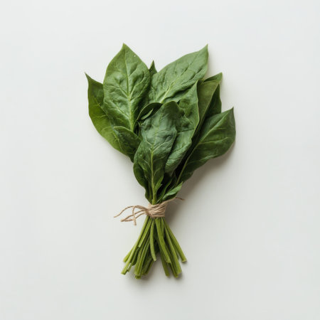 A bunch of vibrant, fresh spinach leaves is neatly tied with twine, showing their rich green color and texture, perfect for salads and various dishes in a kitchen environment.の素材