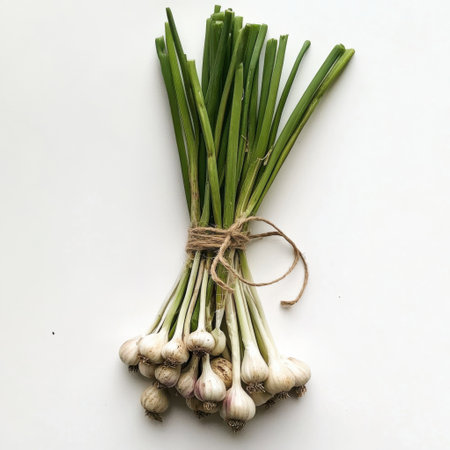 Fresh garlic bulbs with vibrant green shoots are neatly tied together with twine, showing their natural beauty and readiness for culinary enhancement. Ideal for cooking.の素材