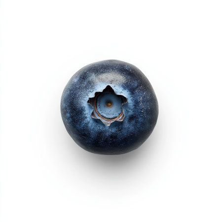 Ripe blueberry rests on a plain surface, exhibiting a smooth, glossy exterior. The fruit's deep blue color contrasts with the light, highlighting its natural freshness.の素材