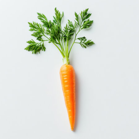 A vivid orange carrot showcases its fresh green leafy tops while lying flat on a light surface, emphasizing its color and natural beauty in a simple and clean arrangement.の素材