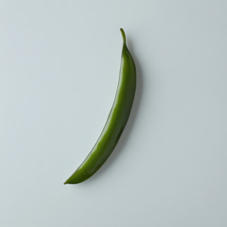 A vibrant green bean pod lies flat against a neutral background, highlighting its sleek, glossy surface, and elongated shape. Perfectly ripe and fresh, it enhances any culinary display.の素材