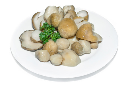 white mushrooms with parsley on a white plateの写真素材