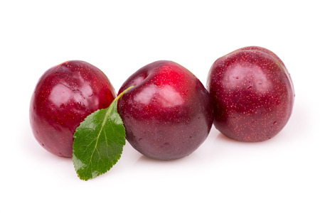 ripe plumの写真素材