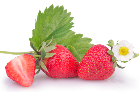 strawberry with leaves and flowers on a white backgroundの写真素材
