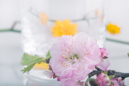 spring flowers on a table near the vaseの写真素材