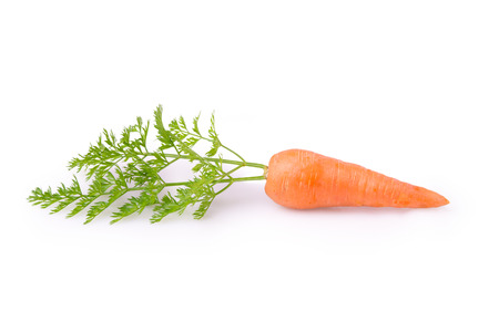 carrots with leaves on a white backgroundの写真素材